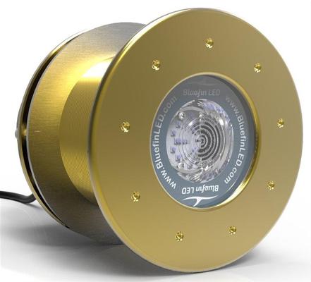 Bluefin LED Great White GW20 IFM - Blue 12500 lm