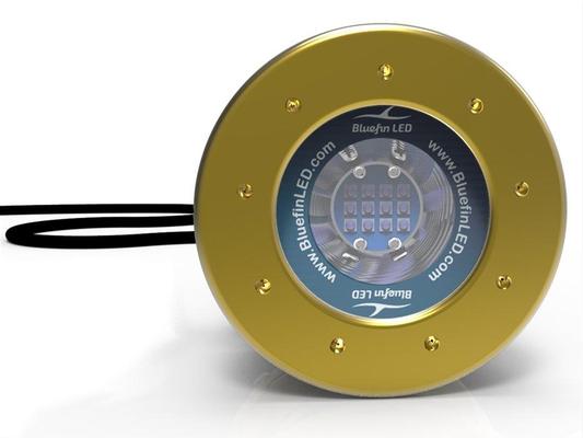 Bluefin LED Mako M12 - Bianco - 24 V. - 6100 lm